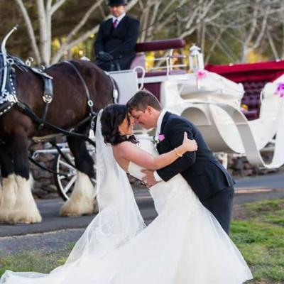 Traditional Wedding Horse & Carriage-Silver Package