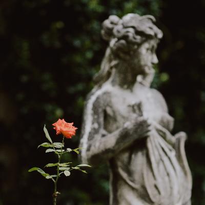 Wedding Ceremony and Reception - Diamond Package thumbnail 5