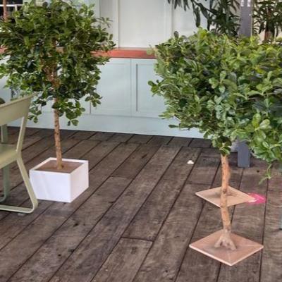 Green Table Top Trees (set of 15) thumbnail 1