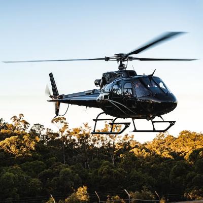 Scenic Helicopter Tour-1 Hour (4 people) thumbnail 5