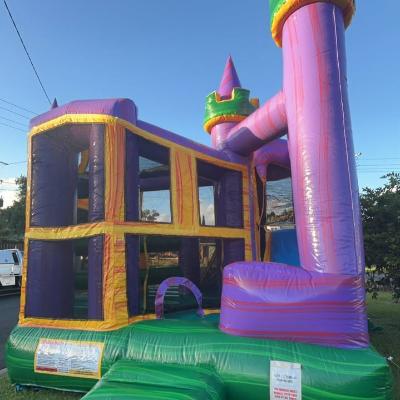 The Great Big Bouncer thumbnail 2