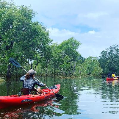 Single Kayak thumbnail 4