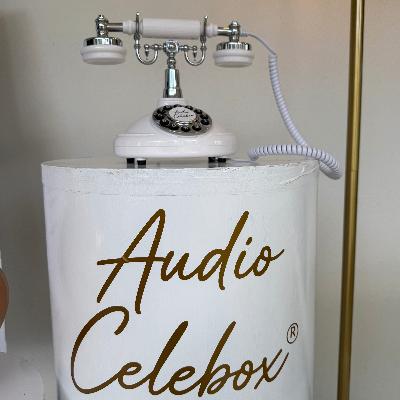 Audio Guest Book Celebox® thumbnail 3