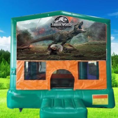 Jurassic Park Small Banner Jumping Castle thumbnail 1