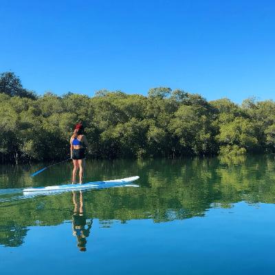 Stand Up Paddleboard