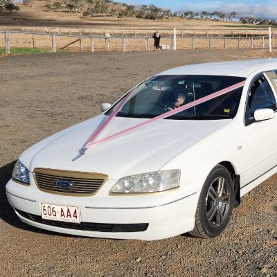 9X Pax 'medium size super stretch' Limousine