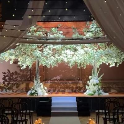 1 x 3m White Luxe Blossom Tree