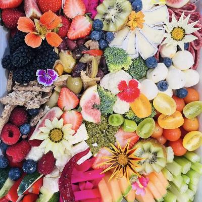 Medium Vegetarian Grazer thumbnail 1