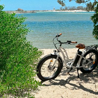 Cruiser E-Bike thumbnail 2