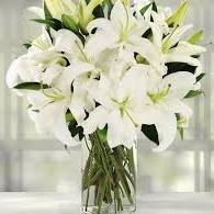 White rose