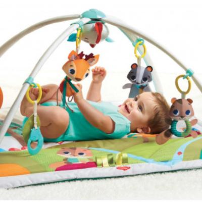 Baby Play Mat