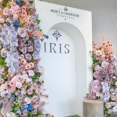 Arch Backdrop thumbnail 4