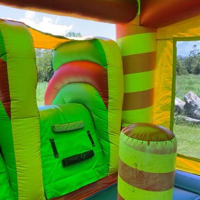 Double Slide Jumping Castle thumbnail 3