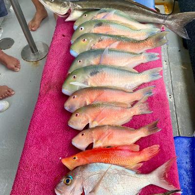 Discovery Fishing Charters (Morning) thumbnail 2