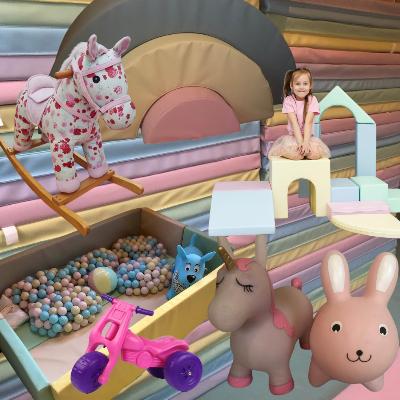 Explorer Pastel Softplay Party Hire pack #2 - Full weekend - 20+ pieces