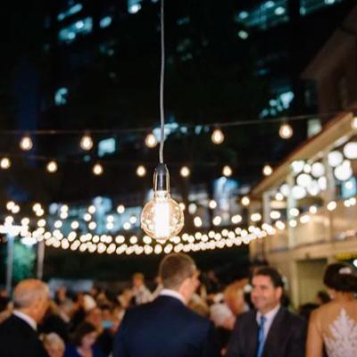 Festoon Lights Package - 60m