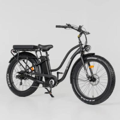 Premium Cruiser E-Bike