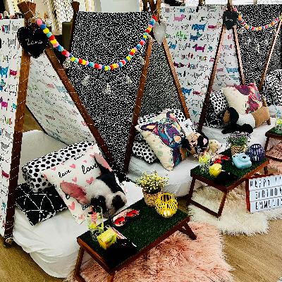 Kids Tent Slumber Party (5 Tents) thumbnail 4