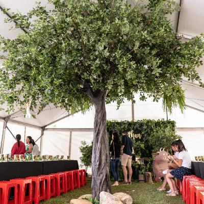 4m Green Trees (set of 2) thumbnail 1
