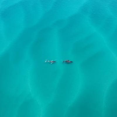 Scenic Helicopter tour with Spicers stopover-90 min (2 people) thumbnail 2