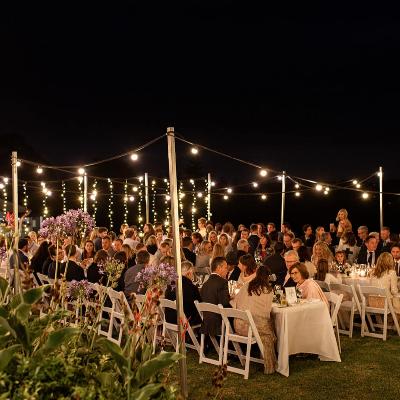 Festoon Lights - Cool White - not installed