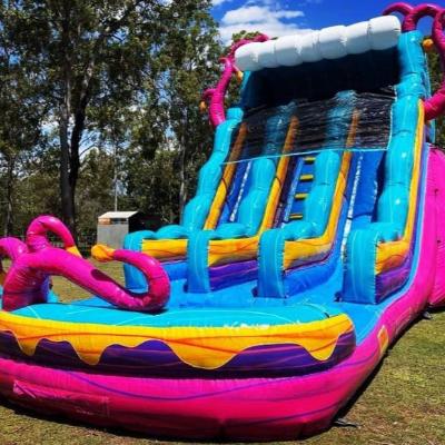 Mysterious Dual Lane Inflatable Waterslide