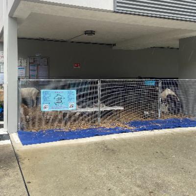 Mega Muster Mobile Petting Zoo