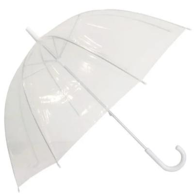 Clear Umbrella