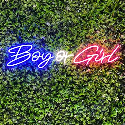 Boy or Girl neon sign