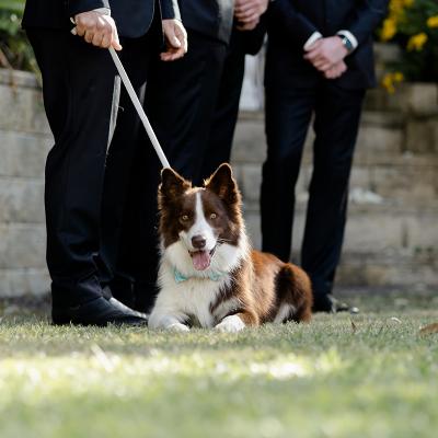 Outdoor Ceremony Hire thumbnail 6