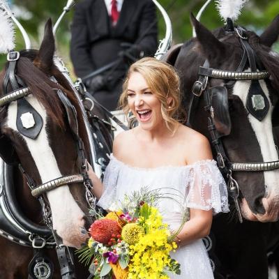Traditional Wedding Horse & Carriage-Platinum Package thumbnail 2