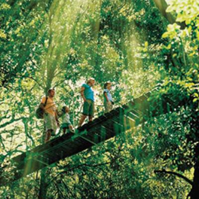 O'Reilly's and Lamington National Park Tour (Adult) thumbnail 1
