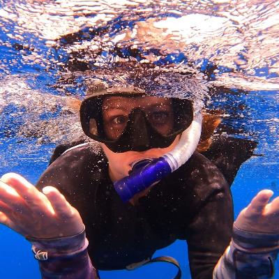 Snorkel with the turtles package-Private boat (2 to 9 people)