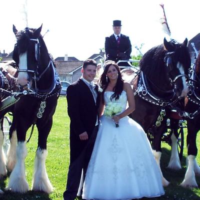 Traditional Wedding Horse & Carriage-Platinum Package thumbnail 1