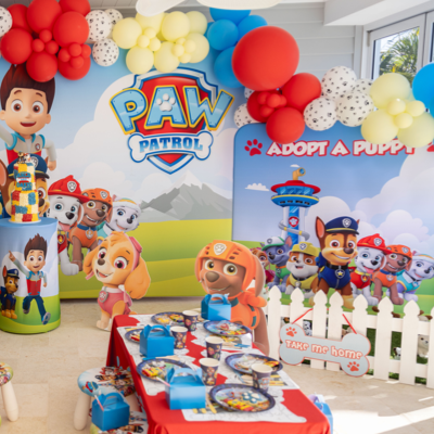 Ultimate Paw Patrol Package