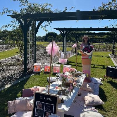 DIY Small Picnic Package (6 people) thumbnail 5