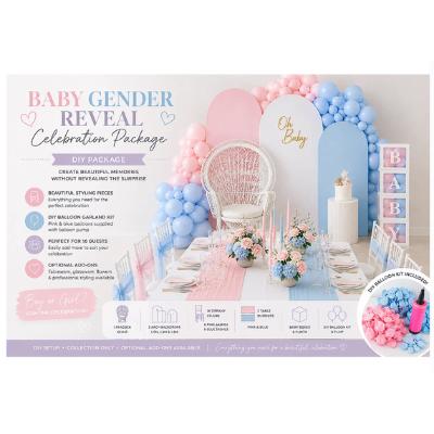 Bundle - Baby Gender Reveal Celebration Package