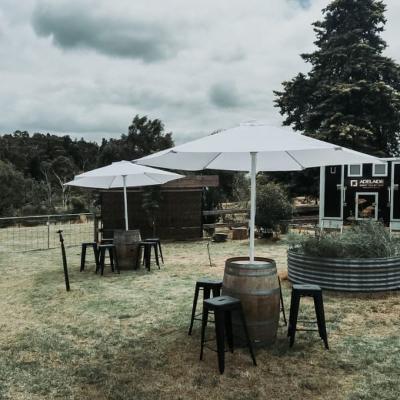 Wine Barrel + Umbrella