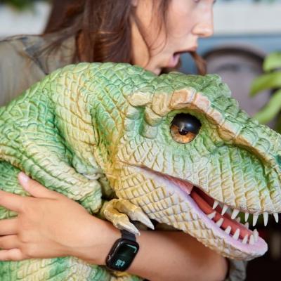 Dinosaur Character Theme Party (1x Pirate) thumbnail 4