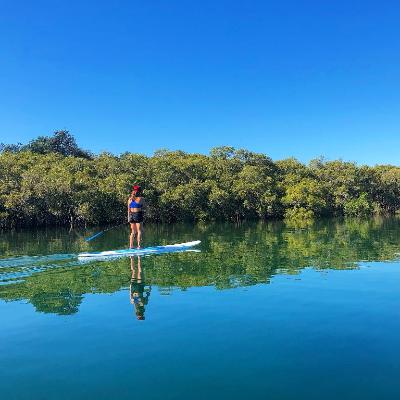 Stand Up Paddleboard thumbnail 4