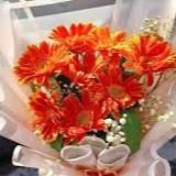 Lotuss