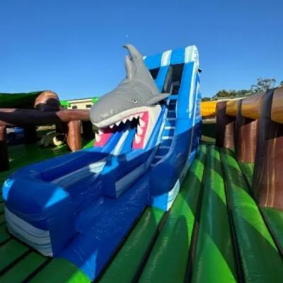 12 x 12m Aussie Animal Adventure 3D Inflatable thumbnail 4
