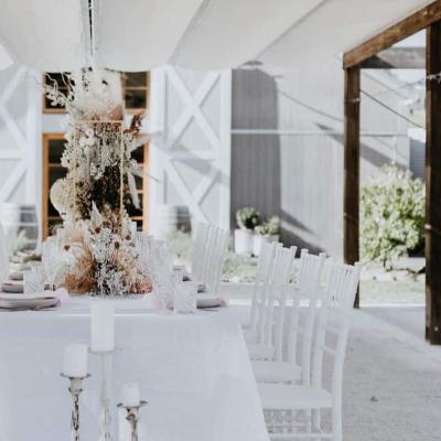 White Tiffany Chairs thumbnail 2