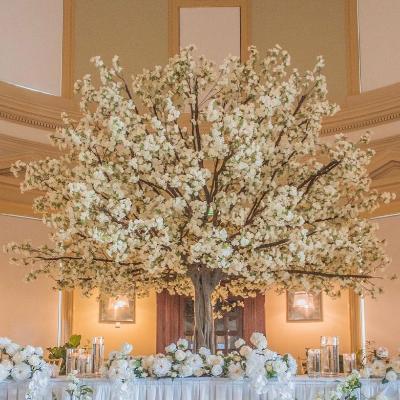 5m White Luxe Blossom Tree thumbnail 1