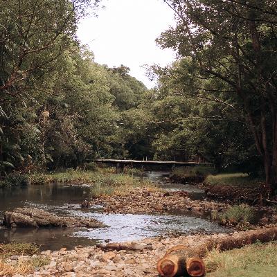 Wedding Ceremony, Cocktail Hour and Reception Package (2026 - Friday and Saturday Only) thumbnail 3