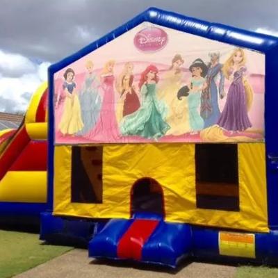 Disney Princess Large Banner Jumping Castle