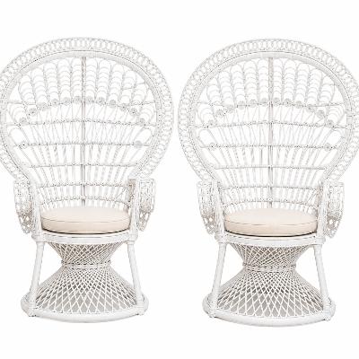 Peacock Chair Lounge Package