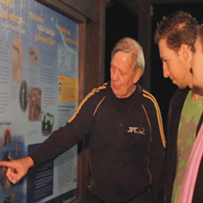 Gold Coast Natural Bridge Glow Worm Night Tour (Adults) thumbnail 3