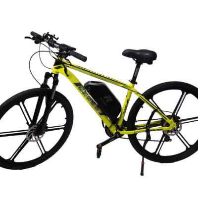 RENAG ebike thumbnail 2