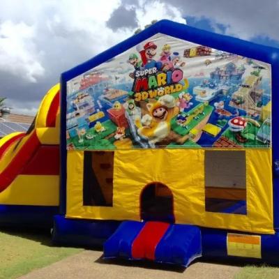 Super Mario Large Banner Jumping Castle